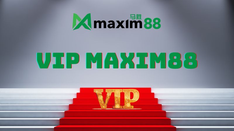 Các cấp bậc thành viên VIP MAXIM88